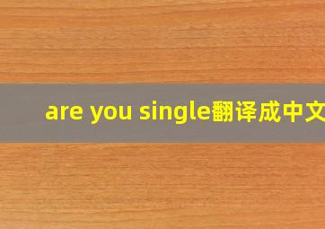 are you single翻译成中文